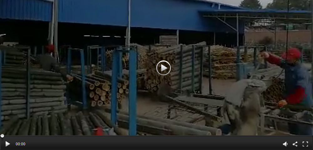 1537326512118630.jpg video.jpg